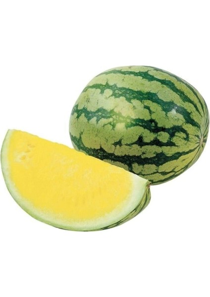 Dünyam Süper Paket 60 Adet Tohum Ithal Nadir Sarı Karpuz Tohumu