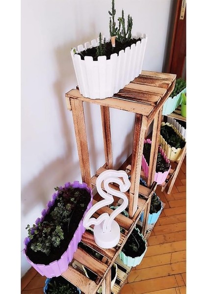 Adet Akasya Saksı, Bahçe Balkon Saksı, Çit Saksı 30 cm (Yeşil) fırsatları