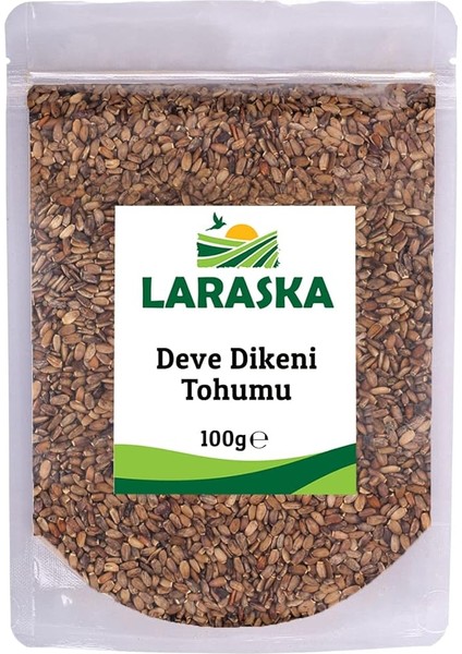 Dikeni Tohumu 100G