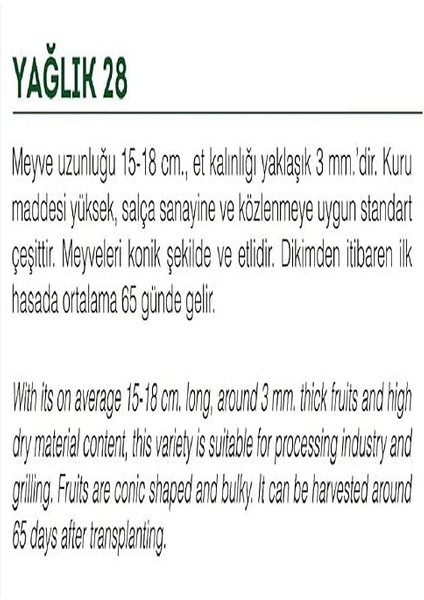 Tarım Ata Tohumu Yöresel Yağlık Biber 1000 Adet Tohum fiyatları