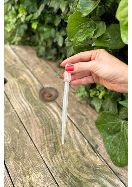 Concept Pastör Pipet (Damlalık) 3 ml (50 Adet) fiyatları