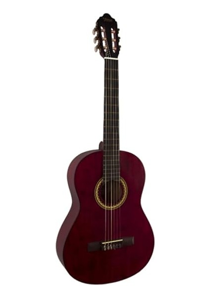 Mat Klasik Gitar Kılıf + Pena modelleri