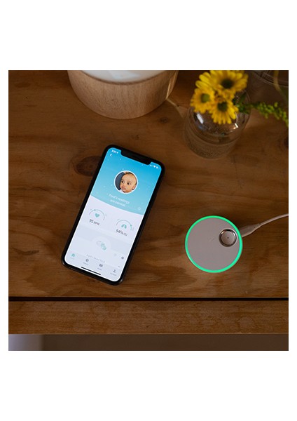 Smart Sock 3 - Dusty Rose fiyatları