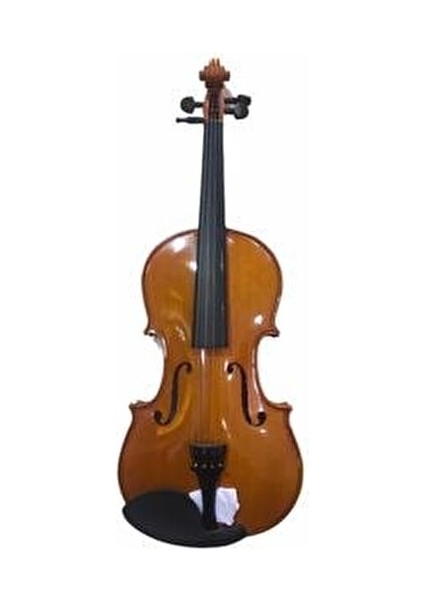 V160 2/4 Keman Profesyonel Kullanım İçin Ahşap Malzeme ile Tasarlandı fiyatları