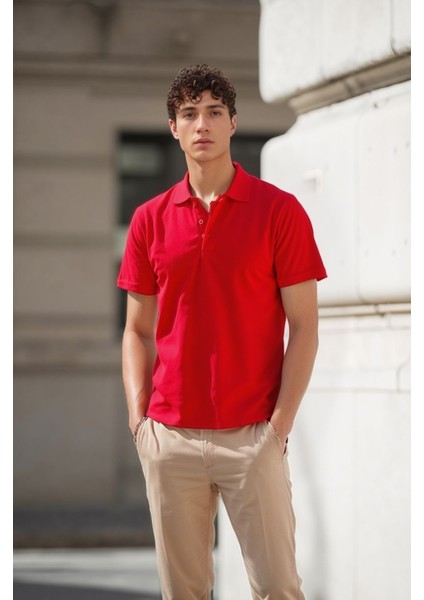 Erkek %100 Pamuklu Lakost Kumaş Regular Fit Polo Yaka T-Shirt fiyatları
