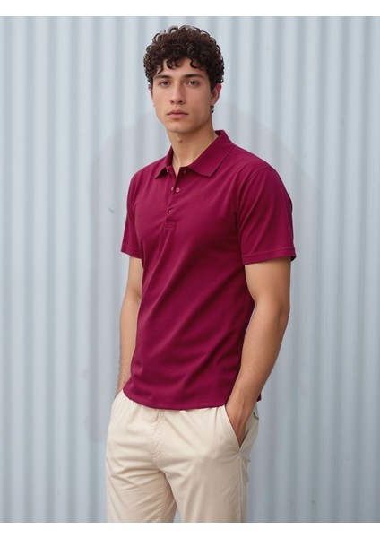 Erkek %100 Pamuklu Lakost Kumaş Regular Fit Polo Yaka T-Shirt fiyatları
