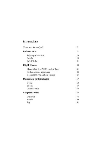 Korsanlar Seyir Defteri Tutmaz - Ergin Çiftçi fiyatları