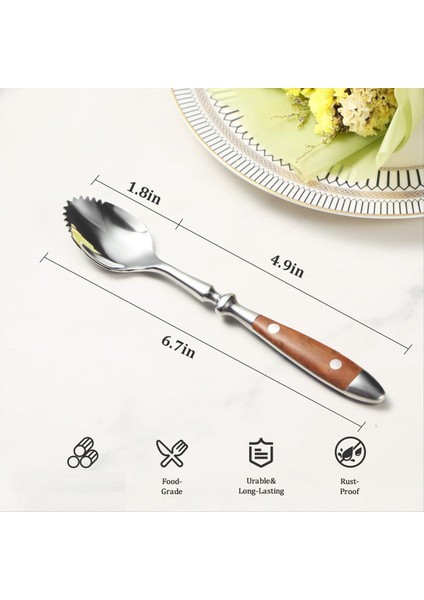 QuirkyQuar Greyfurt Kaşıkları, 4pcs Tırtıklı Greyfurt Kaşık, Paslanmaz Çelik 18/8 Meyve Kaşığı Kivi Kaşık Ahşap Saplı (Yurt Dışından) fiyatları