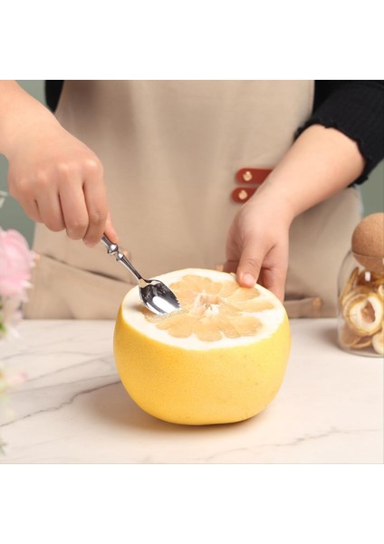 QuirkyQuar Greyfurt Kaşıkları, 4pcs Tırtıklı Greyfurt Kaşık, Paslanmaz Çelik 18/8 Meyve Kaşığı Kivi Kaşık Ahşap Saplı (Yurt Dışından) fırsatları