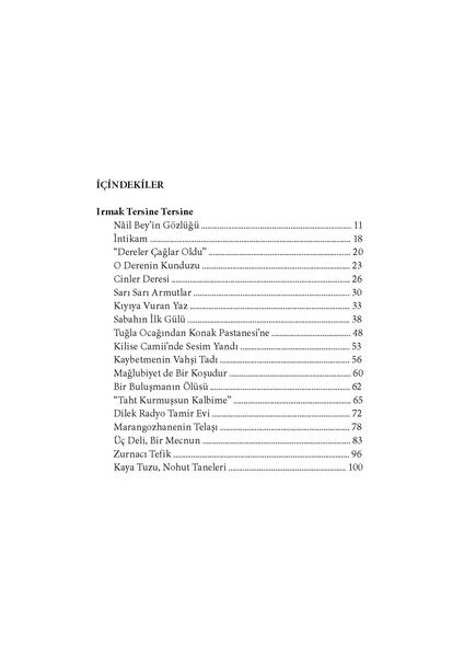 Irmak Tersine Tersine fiyatları