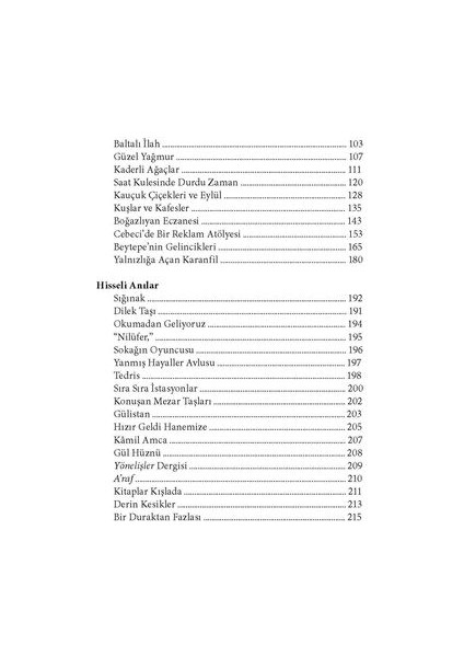 Irmak Tersine Tersine modelleri