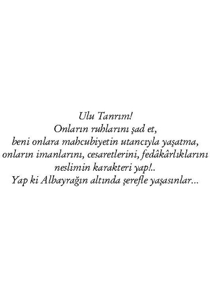 Çanakkale Savaşları Günlüğü - Resimli Haritalı Kronolojik İnceleme - Erol Kılınç