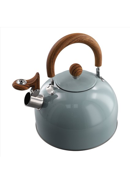 QuirkyQuar 3l Litre Paslanmaz Çelik Düdük Su Isıtıcısı Kalınlaştırılmış Su Isıtıcısı Gaz Indüksiyon Ocak Evrensel Su Isıtıcısı Düdük Su Isıtıcısı (Yurt Dışından)