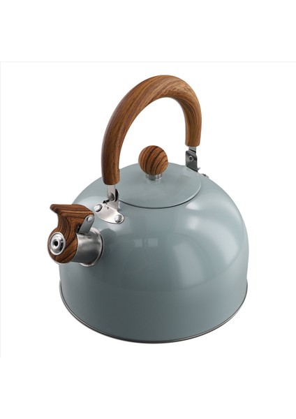 QuirkyQuar 3l Litre Paslanmaz Çelik Düdük Su Isıtıcısı Kalınlaştırılmış Su Isıtıcısı Gaz Indüksiyon Ocak Evrensel Su Isıtıcısı Düdük Su Isıtıcısı (Yurt Dışından) fiyatları