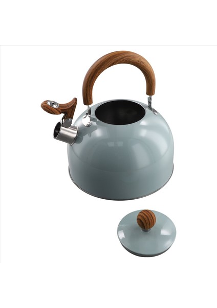 QuirkyQuar 3l Litre Paslanmaz Çelik Düdük Su Isıtıcısı Kalınlaştırılmış Su Isıtıcısı Gaz Indüksiyon Ocak Evrensel Su Isıtıcısı Düdük Su Isıtıcısı (Yurt Dışından) modelleri