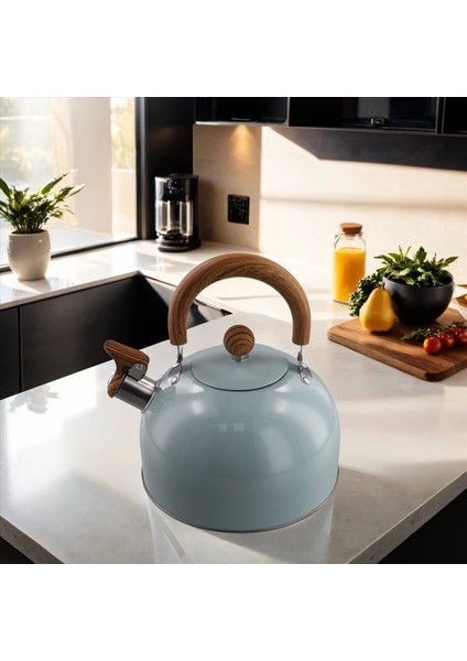 QuirkyQuar 3l Litre Paslanmaz Çelik Düdük Su Isıtıcısı Kalınlaştırılmış Su Isıtıcısı Gaz Indüksiyon Ocak Evrensel Su Isıtıcısı Düdük Su Isıtıcısı (Yurt Dışından) fırsatları