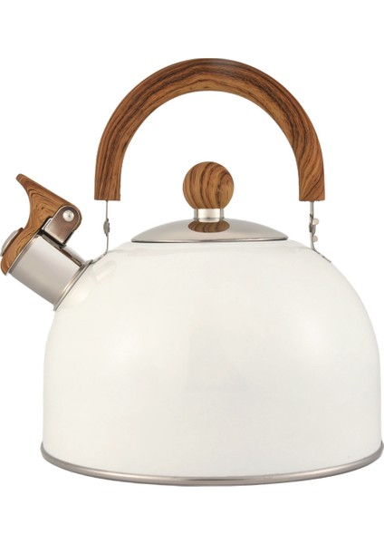 QuirkyQuar Çay Su Isıtıcısı, 2.5l Paslanmaz Çelik Doruğa Soba Üstü Için Çay Kapları, Kol Yüksek Sesle Düdük ve Rastane Karşı Hızlı Kaynama ile (Yurt Dışından)