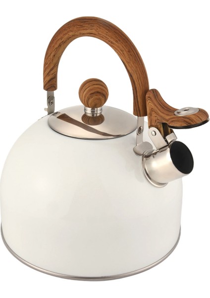 QuirkyQuar Çay Su Isıtıcısı, 2.5l Paslanmaz Çelik Doruğa Soba Üstü Için Çay Kapları, Kol Yüksek Sesle Düdük ve Rastane Karşı Hızlı Kaynama ile (Yurt Dışından) fiyatları