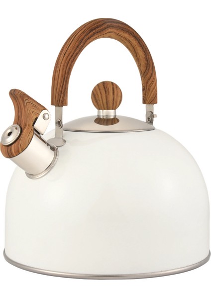 QuirkyQuar Çay Su Isıtıcısı, 2.5l Paslanmaz Çelik Doruğa Soba Üstü Için Çay Kapları, Kol Yüksek Sesle Düdük ve Rastane Karşı Hızlı Kaynama ile (Yurt Dışından) modelleri