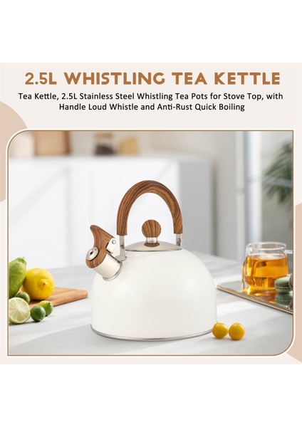 QuirkyQuar Çay Su Isıtıcısı, 2.5l Paslanmaz Çelik Doruğa Soba Üstü Için Çay Kapları, Kol Yüksek Sesle Düdük ve Rastane Karşı Hızlı Kaynama ile (Yurt Dışından) fırsatları