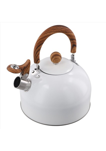 QuirkyQuar 3 L Çay Su Isıtıcısı Soba Sobası Soba Tea Su Isıtıcısı Soba Üstü Için, Sap (Yurt Dışından)