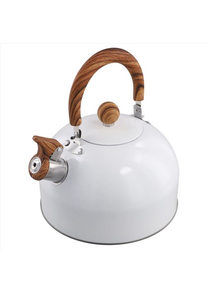 QuirkyQuar 3 L Çay Su Isıtıcısı Soba Sobası Soba Tea Su Isıtıcısı Soba Üstü Için, Sap (Yurt Dışından) fiyatları