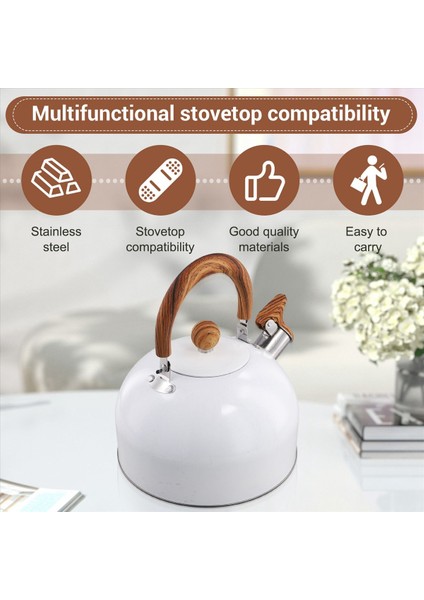 QuirkyQuar 3 L Çay Su Isıtıcısı Soba Sobası Soba Tea Su Isıtıcısı Soba Üstü Için, Sap (Yurt Dışından) fırsatları