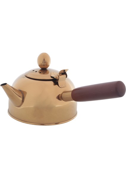 QuirkyQuar 500ML Tek Saplı Su Su Isıtıcısı Indüksiyon Türk Samll Kahve Sütlü Çay Pot 304 Paslanmaz Çelik Açık Su Kazan Içki Gaz Altın (Yurt Dışından)