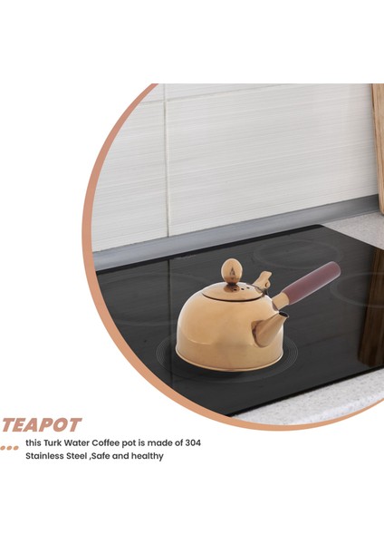 QuirkyQuar 500ML Tek Saplı Su Su Isıtıcısı Indüksiyon Türk Samll Kahve Sütlü Çay Pot 304 Paslanmaz Çelik Açık Su Kazan Içki Gaz Altın (Yurt Dışından) fiyatları