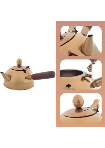 QuirkyQuar 500ML Tek Saplı Su Su Isıtıcısı Indüksiyon Türk Samll Kahve Sütlü Çay Pot 304 Paslanmaz Çelik Açık Su Kazan Içki Gaz Altın (Yurt Dışından) fırsatları