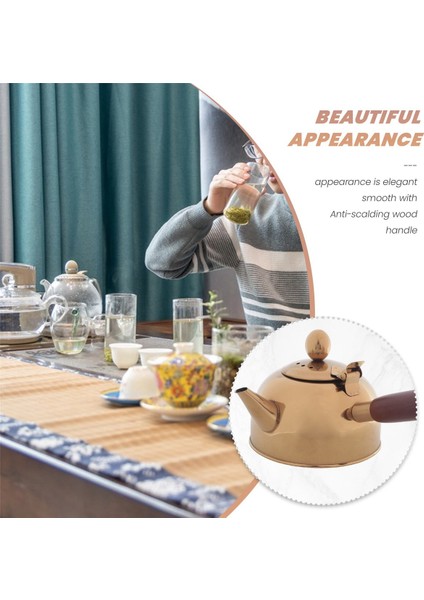 QuirkyQuar 500ML Tek Saplı Su Su Isıtıcısı Indüksiyon Türk Samll Kahve Sütlü Çay Pot 304 Paslanmaz Çelik Açık Su Kazan Içki Gaz Altın (Yurt Dışından) indirimleri