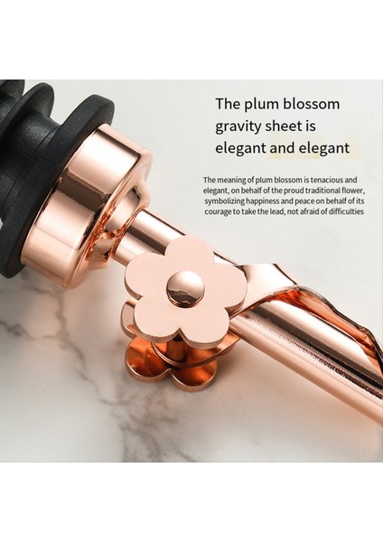 QuirkyQuar 2 Paket Paslanmaz Çelik Yağ Dökme Tabakaları, Yedek Şişe Dökücüler Yağlı Spout Likör Dökücüler Otomatik Flip Özelliği Siyah (Yurt Dışından) modelleri