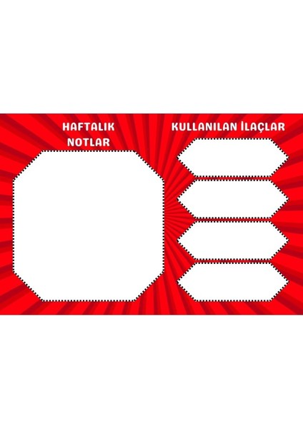 diyabet ölçüm takip çizelgesi defteri özel tasarım 3 aylık a5 kırmızı modelleri