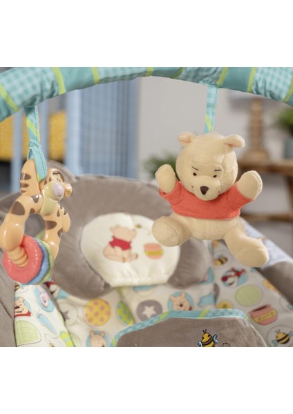 Winnie The Pooh Dots & Hunny Pots Sallanan Bebek Titreşimli Ana Kucağı fırsatları