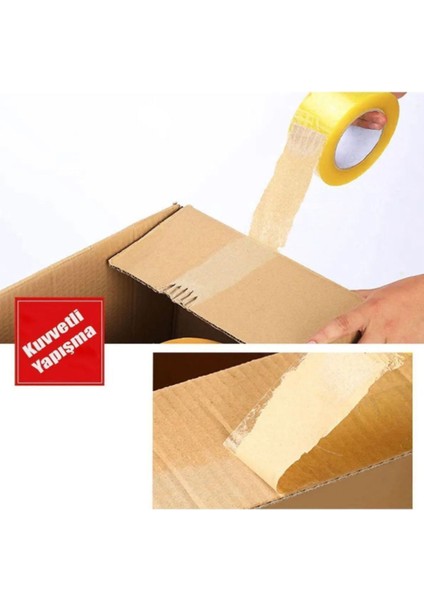 Koli Bandı 45 mm x 100 mt Şeffaf Güçlü Yapışkanlı Kopmayan Bant Bandı (10 Adet) modelleri