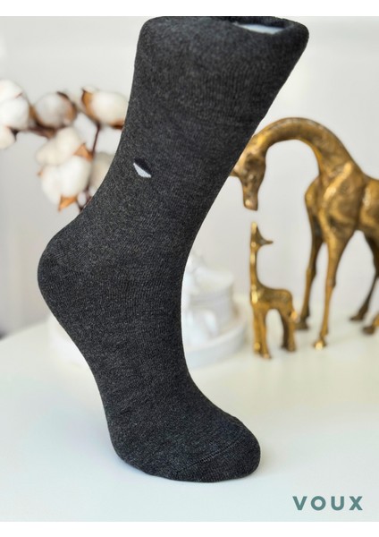 Bambu Desenli Antrasit Erkek Yarım Konç Çorap 6 'lı