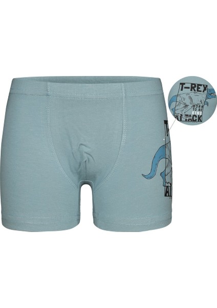 5'li Erkek Çocuk Boxer modelleri