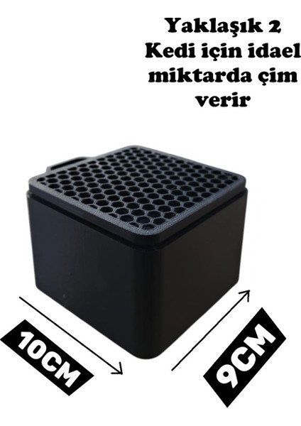 Kedi Çimi Otu Tekrar Kullanılabilir Topraksız Yetiştirme Kutusu indirimleri