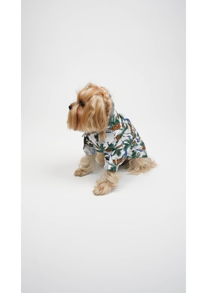 Köpek Kedi Tavuskuşu Gömlek modelleri
