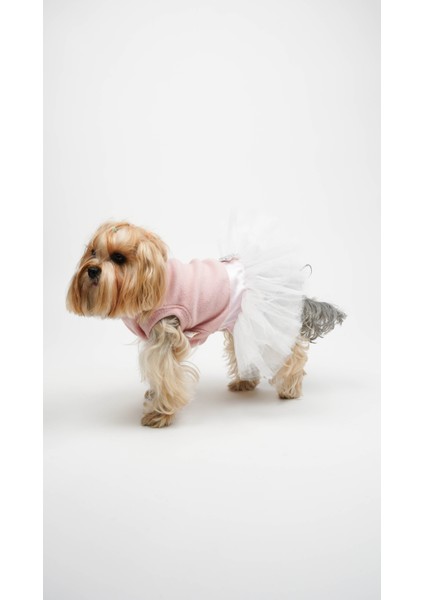 Köpek Kedi Yıldız Tütü Elbise