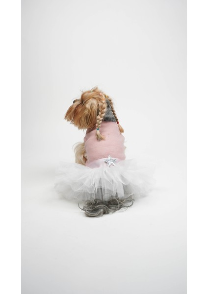 Köpek Kedi Yıldız Tütü Elbise fiyatları