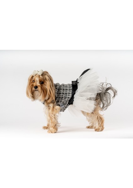 Köpek Kedi Tütü Elbise Desenli