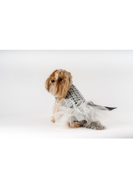Köpek Kedi Tütü Elbise Desenli modelleri