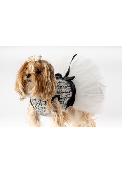 Köpek Kedi Tütü Elbise Desenli indirimleri