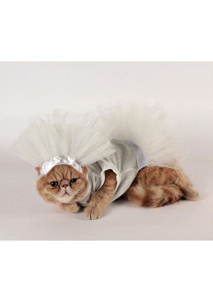 Köpek Kedi Gelinlik