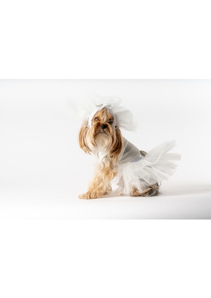 Köpek Kedi Gelinlik modelleri