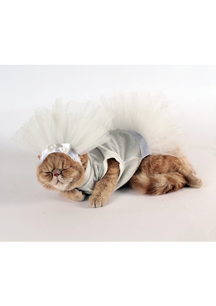 Köpek Kedi Gelinlik indirimleri