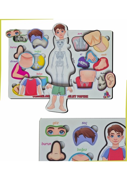Bedenimi Öğreniyorum Iskelet Sistemi Bul-Tak Puzzle fiyatları