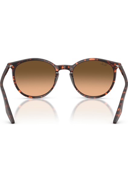 0rb 2204 1429/3B 54 modelleri