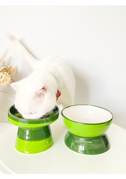 Seramik Kedi ve Köpek Mama Su Kabı Luna- Ayaklı Model 2'li(Yeşil) fırsatları